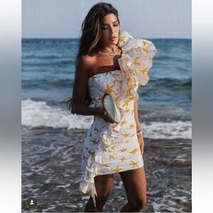 CeliaB Ginevra Mini Starfish Ruffle Dress Size Large NWT $498